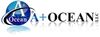 (AO) A+ Ocean LLC
