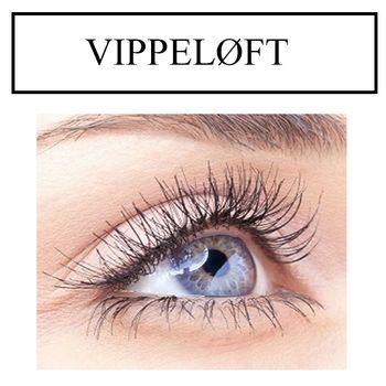 Hovedbilde VIPPELØFT